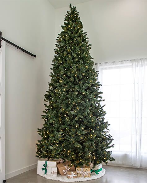 12' Indoor LED Oregon Grand Fir Christmas Tree - Warm White