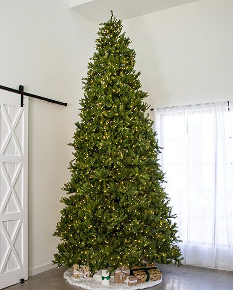 12' Indoor LED McKenzie Noble Fir Christmas Tree - Warm White