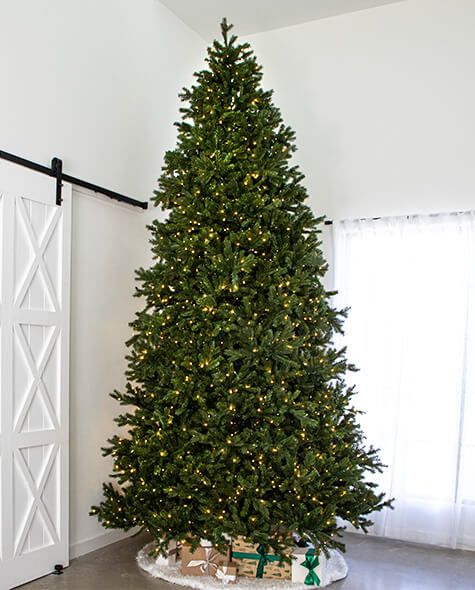 12' Indoor LED Sacred Fir Christmas Tree - Warm White