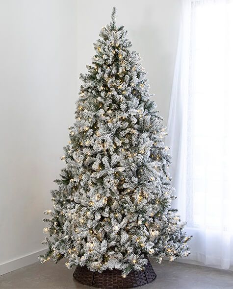 7.5' Indoor LED Flocked Appalachian Spruce Christmas Tree - Warm White