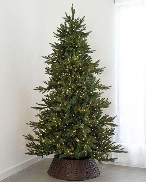 7.5' Indoor LED Mixed Foxtail Pine Christmas Tree - Warm White