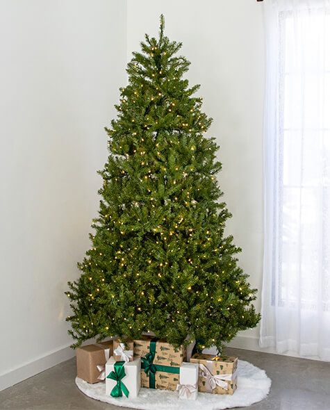 7.5' Indoor LED McKenzie Noble Fir Christmas Tree - Warm White