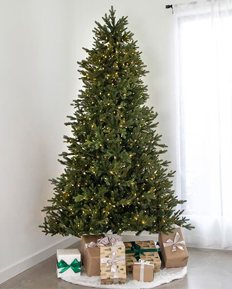 7.5' Indoor LED Mixed Douglas Fir Christmas Tree - Warm White