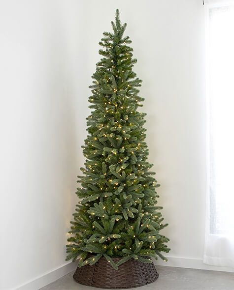 7.5' Indoor LED Norway Spruce Slimline Christmas Tree - Warm White