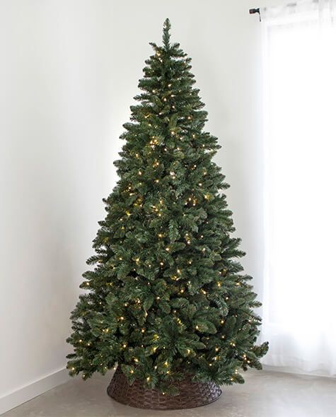 7.5' Indoor LED Oregon Grand Fir Christmas Tree - Warm White