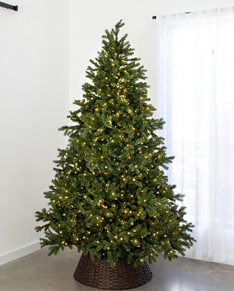 7.5' Indoor LED Sacred Fir Christmas Tree - Warm White