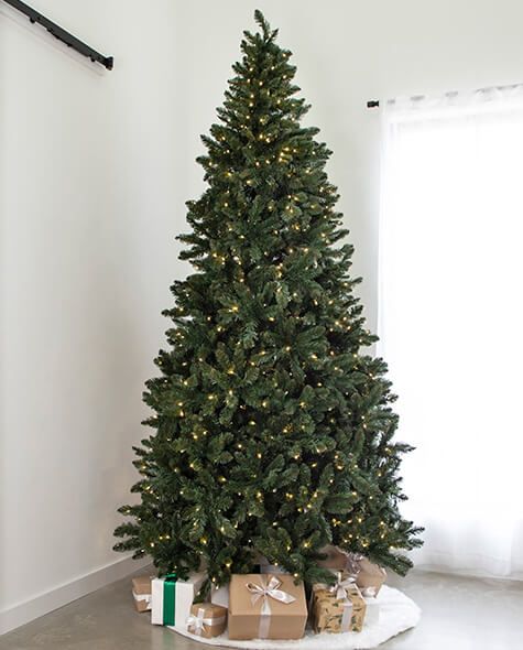 9' Indoor LED Oregon Grand Fir Christmas Tree - Warm White