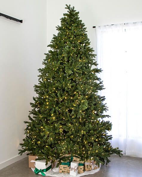 9' Indoor LED Sacred Fir Christmas Tree - Warm White