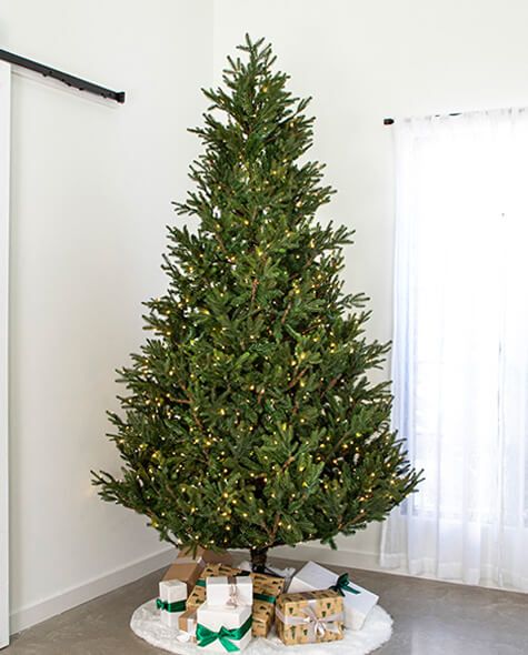 9' Indoor LED Upswept Norway Spruce Christmas Tree - Warm White