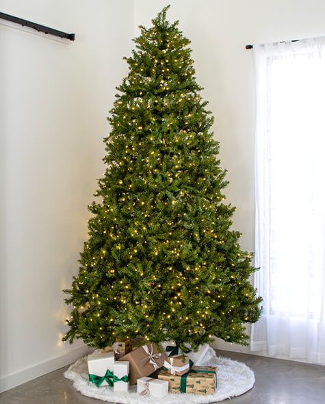 9' Indoor LED McKenzie Noble Fir Christmas Tree - Warm White